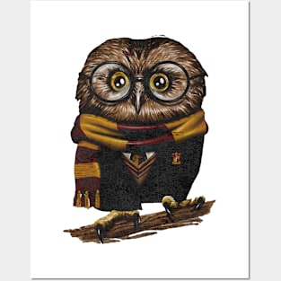 Owl bird wizard Posters and Art